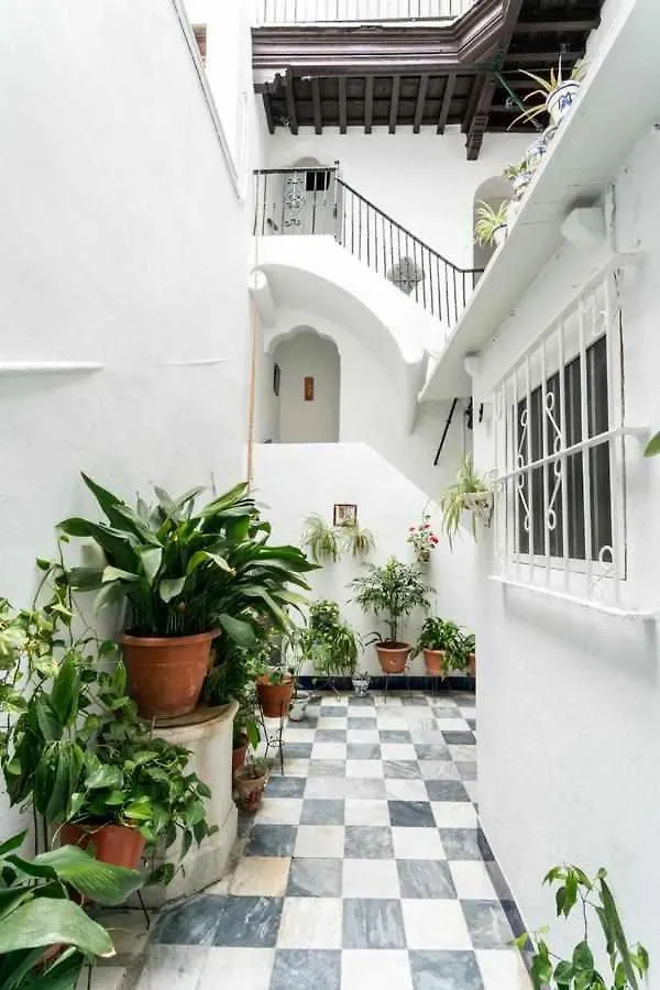 Fantastico Atico En El Casco Antiguo En A La Pla Apartment Cadiz Spain